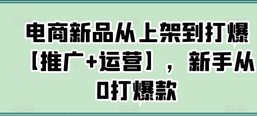 电商新品从上架到打爆【推广+运营】，新手从0打爆款-E网资源