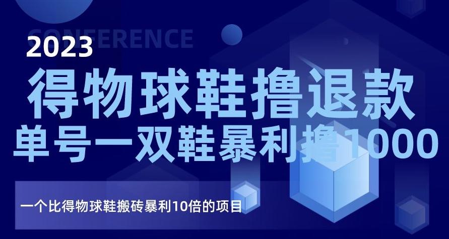 2023得物球鞋撸退款，单号一双鞋暴利撸1000，一个比得物球鞋搬砖暴利10倍的项目【揭秘】-E网资源