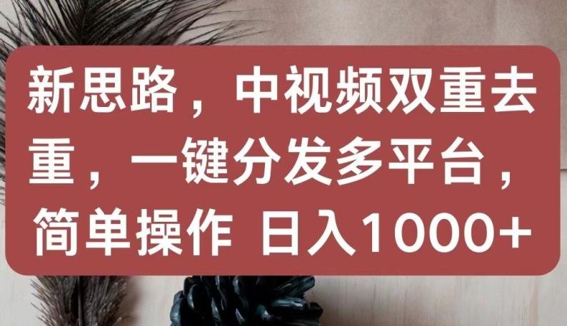 新思路，中视频双重去重，一键分发多平台，简单操作，日入1000+【揭秘】-E网资源