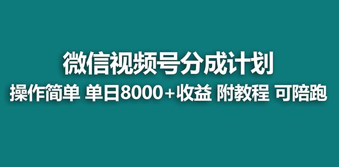 【蓝海项目】视频号分成计划最新玩法，单天收益8000+，附玩法教程，24年…-E网资源