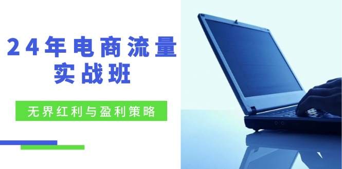 24年电商流量实战班：无界 红利与盈利策略，终极提升/关键词优化/精准…-E网资源
