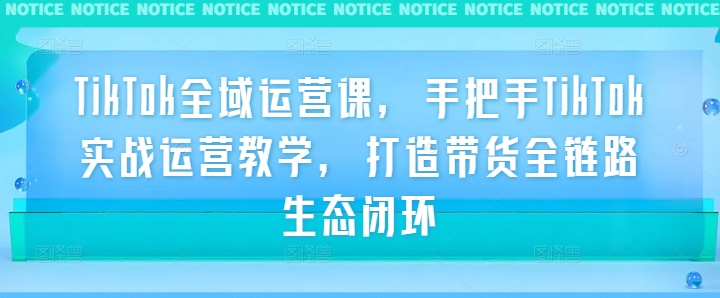 TikTok全域运营课，手把手TikTok实战运营教学，打造带货全链路生态闭环-E网资源