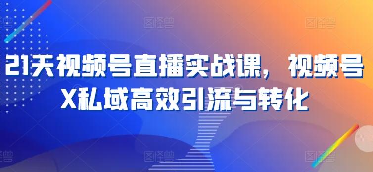 21天视频号直播实战课，视频号X私域高效引流与转化-E网资源