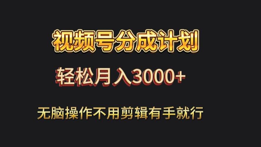 视频号流量分成，不用剪辑，有手就行，轻松月入2000+-E网资源