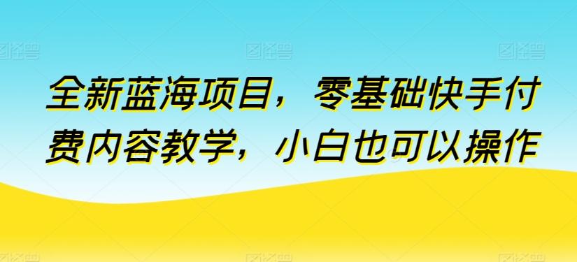 全新蓝海项目，零基础快手付费内容教学，小白也可以操作【揭秘】-E网资源