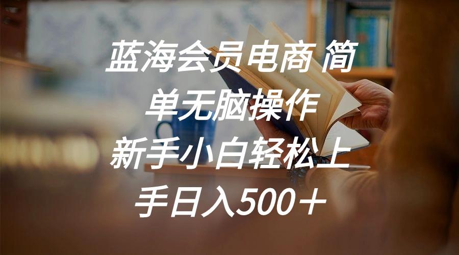 蓝海会员电商 简单无脑操作 新手小白轻松上手日入500＋-E网资源