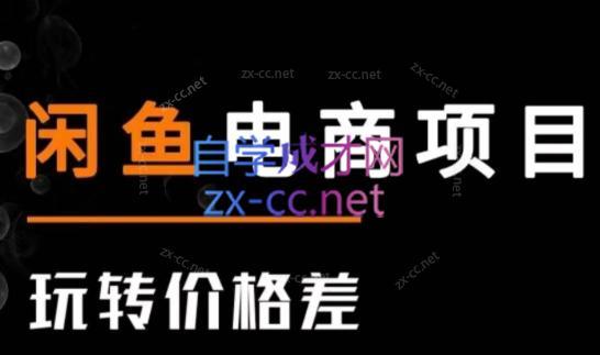 亿创繁星·闲鱼电商项目(玩转价格差)-E网资源