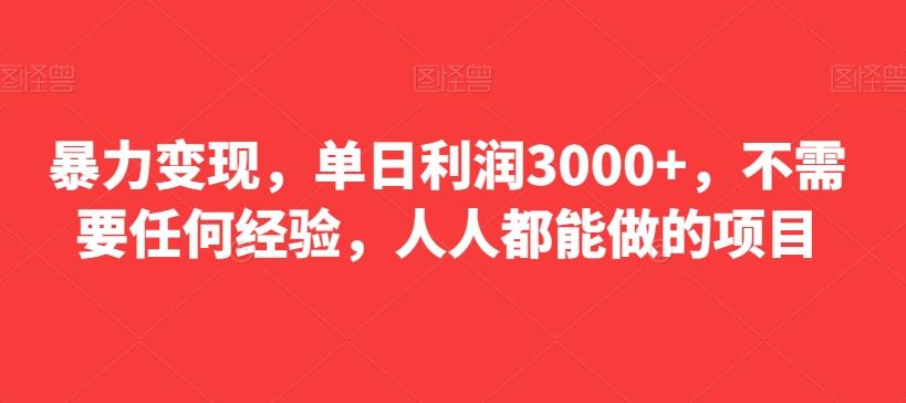 暴力变现，单日利润3000+，不需要任何经验，人人都能做的项目-E网资源