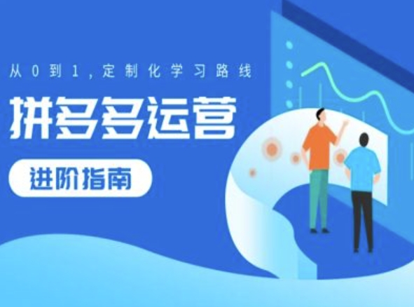 拼多多运营进阶指南，从0到1定制化学习路线-E网资源