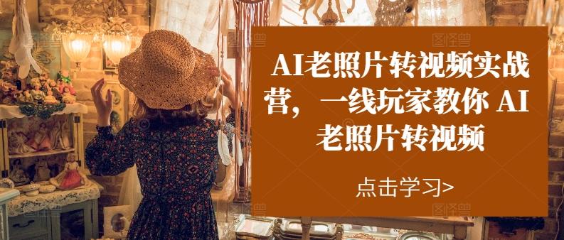 AI老照片转视频实战营，一线玩家教你AI老照片转视频-E网资源