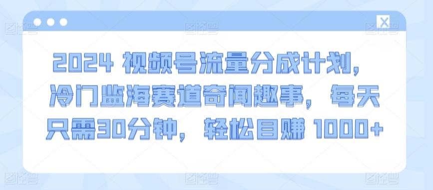 2024视频号流量分成计划，冷门监海赛道奇闻趣事，每天只需30分钟，轻松目赚 1000+【揭秘】-E网资源