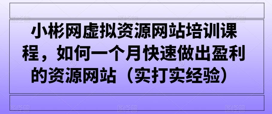 小彬网虚拟资源网站培训课程，如何一个月快速做出盈利的资源网站(实打实经验)-E网资源