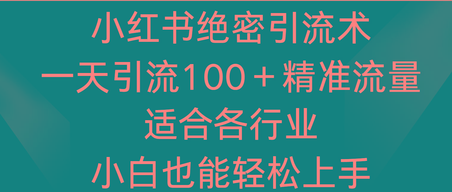 小红书绝密引流术，一天引流100＋精准流量，适合各个行业，小白也能轻松上手-E网资源