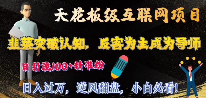 天花板级互联网项目，韭菜突破认知，反客为主成为导师，日引流100+精准粉-E网资源