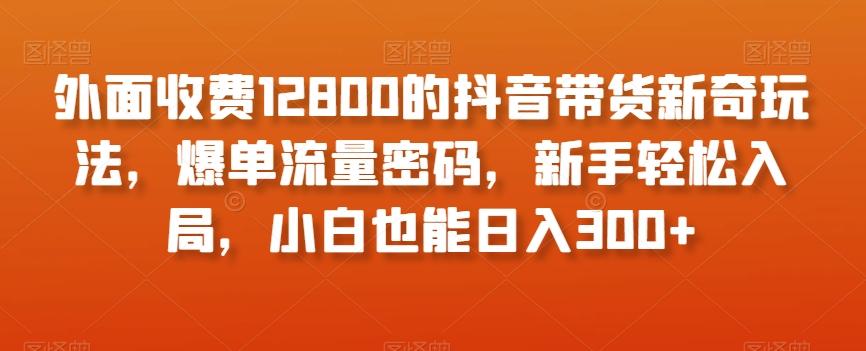 外面收费12800的抖音带货新奇玩法，爆单流量密码，新手轻松入局，小白也能日入300+【揭秘】-E网资源