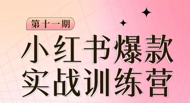 小红书博主爆款训练营第11期，手把手教你从0-1做小红书，从定位到起号到变现-E网资源