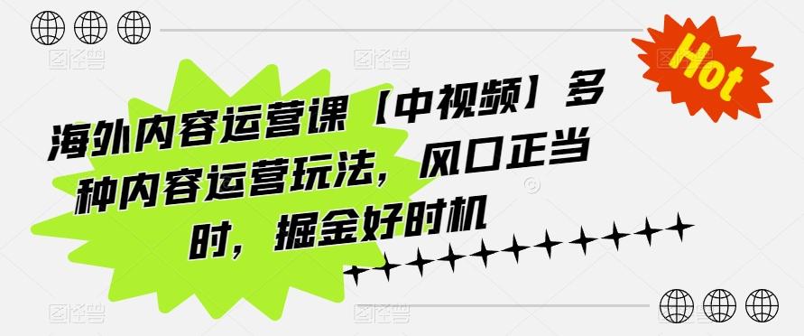 海外内容运营课【中视频】多种内容运营玩法，风口正当时，掘金好时机-E网资源