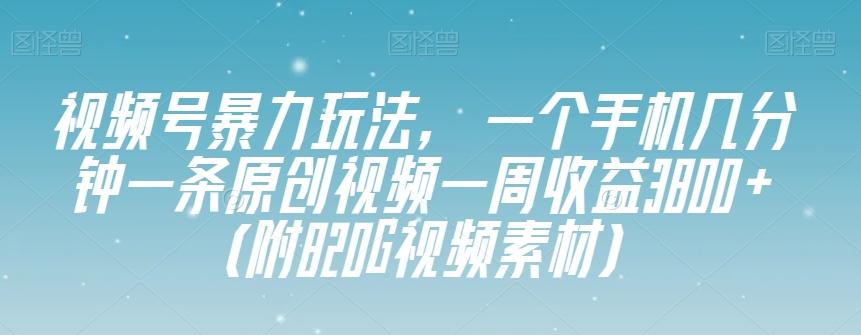 视频号暴力玩法，一个手机几分钟一条原创视频一周收益3800+（附820G视频素材）-E网资源