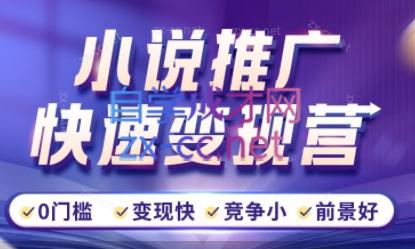洲洲老师·小说推广快速变现营-E网资源