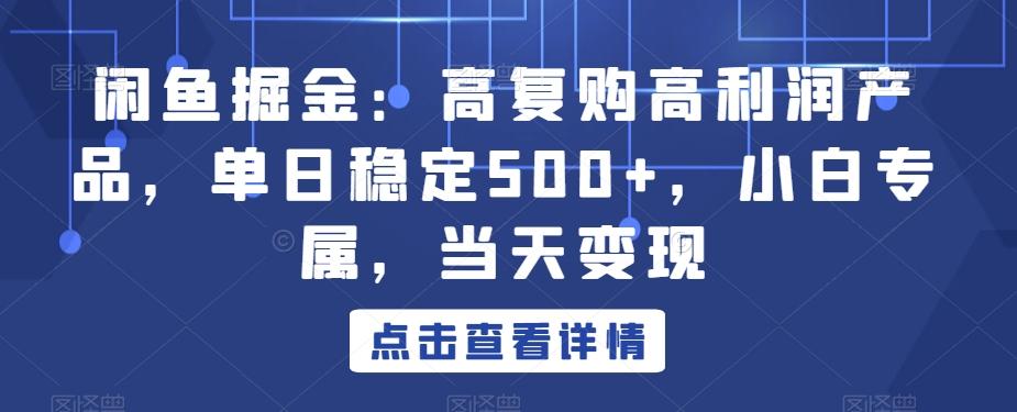 闲鱼掘金：高复购高利润产品，单日稳定500+，小白专属，当天变现-E网资源
