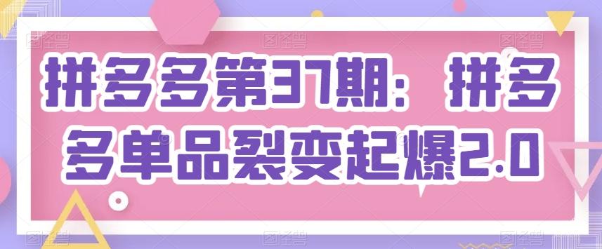 拼多多第37期：拼多多单品裂变起爆2.0-E网资源