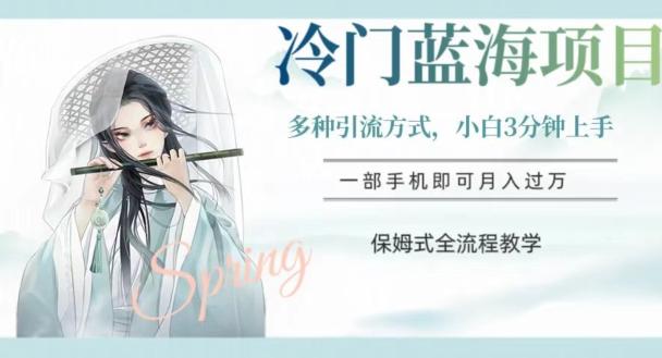 冷门蓝海项目，操作简单，小白3分钟上手，多种引流方式，保姆式全流程教学【揭秘】-E网资源