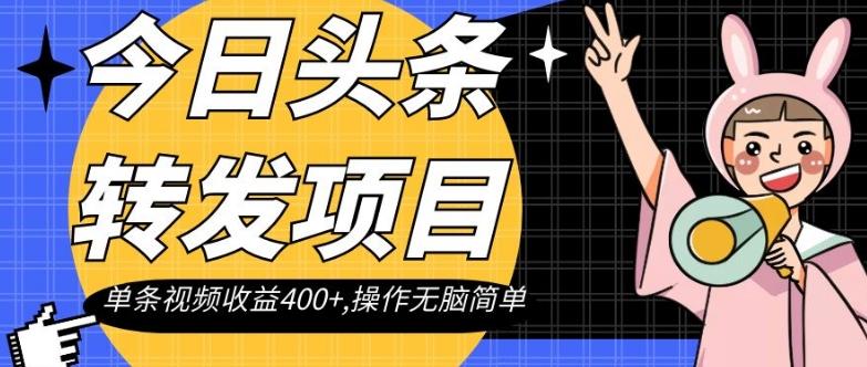 今日头条转发项目，单条视频收益400+,操作无脑简单【揭秘】-E网资源