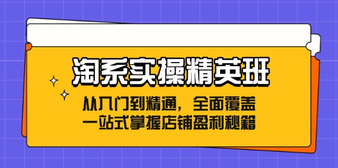 淘系实操精英班：从入门到精通，全面覆盖，一站式掌握店铺盈利秘籍-E网资源