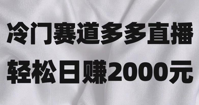 冷门赛道拼多多直播，简单念稿子，日收益2000＋【揭秘】-E网资源
