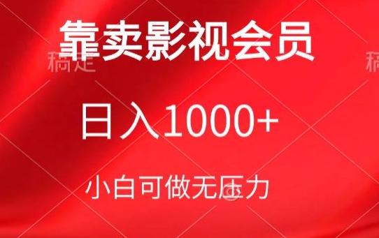靠卖影视会员，日入1000+，落地保姆级教程，新手可学【揭秘】-E网资源
