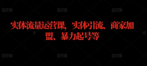 实体流量运营课，实体引流、商家加盟、暴力起号等-E网资源