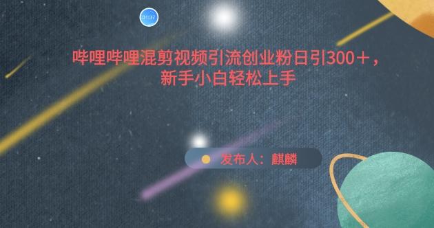 哔哩哔哩混剪视频引流创业粉日引300+，新手小白轻松上手【揭秘】-E网资源