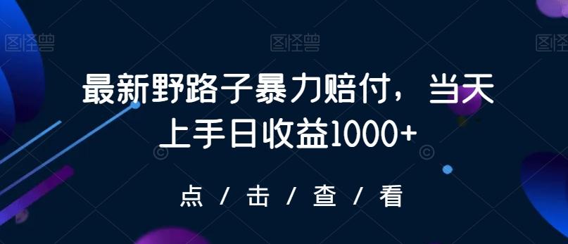 最新野路子暴力赔付，当天上手日收益1000+【仅揭秘】-E网资源