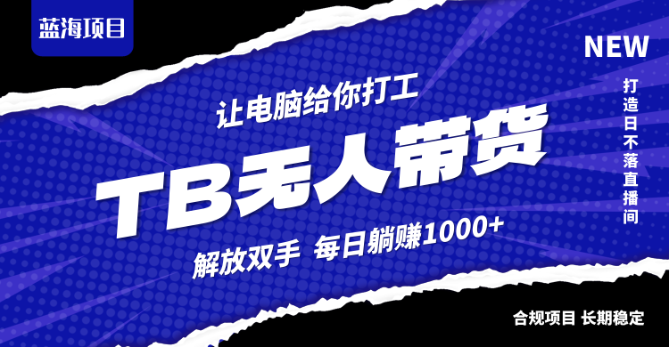 淘宝无人直播最新玩法，不违规不封号，轻松月入3W+-E网资源