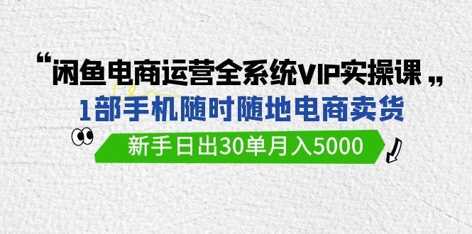 (9547期)闲鱼电商运营全系统VIP实战课，1部手机随时随地卖货，新手日出30单月入5000-E网资源