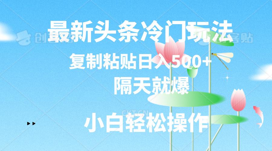 最新头条冷门玩法，隔天就爆，复制粘贴日入500+-E网资源