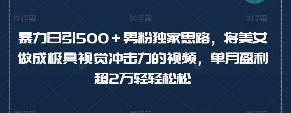 暴力日引500＋男粉独家思路，将美女做成极具视觉冲击力的视频，单月盈利超2万轻轻松松-E网资源