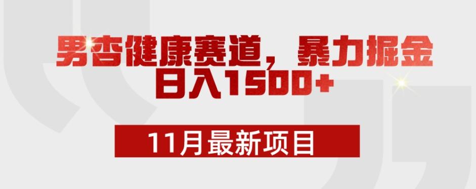 11月最新项目，男杏健康赛道，暴力掘金，日入1500+-E网资源