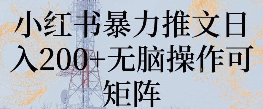 小红书暴力推文日入200+无脑操作可矩阵【揭秘】-E网资源