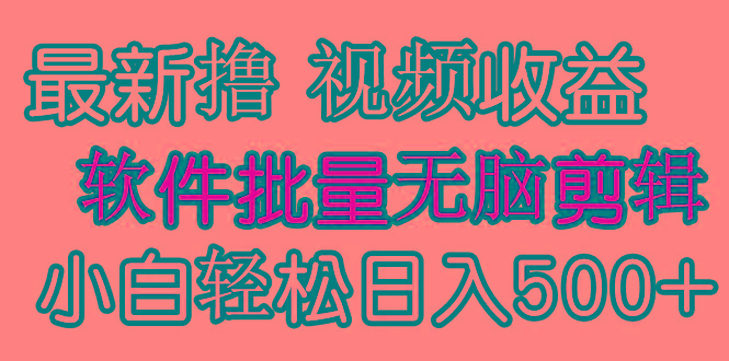 (9569期)发视频撸收益，软件无脑批量剪辑，第一天发第二天就有钱-E网资源