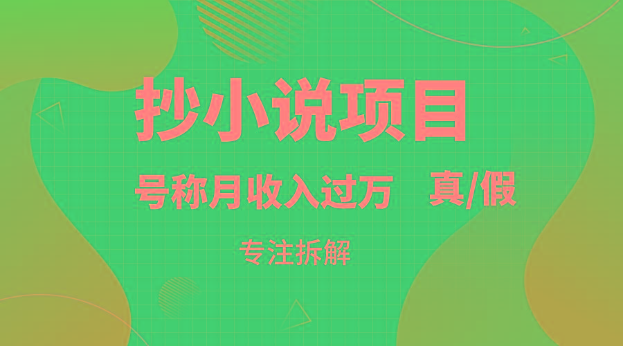 抄小说项目，号称月入过万，到底是否真实，能不能做，详细拆解-E网资源