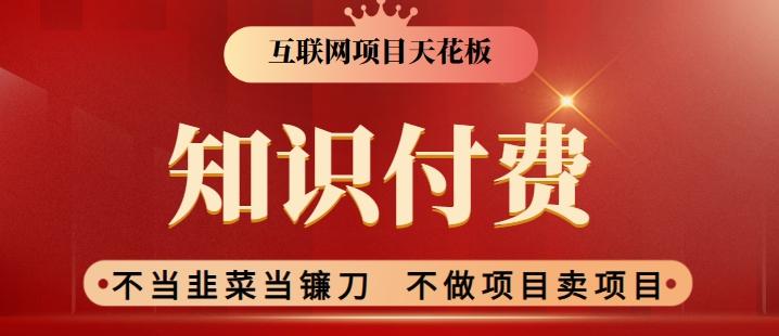 2024互联网项目天花板，新手小白也可以通过知识付费月入10W，实现财富自由【揭秘】-E网资源