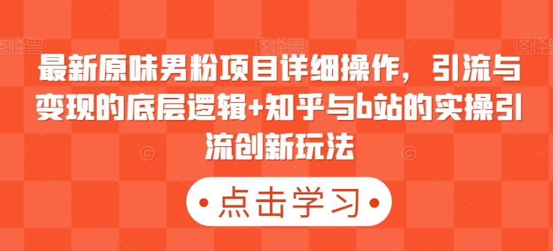 最新原味男粉项目详细操作，引流与变现的底层逻辑+知乎与b站的实操引流创新玩法-E网资源