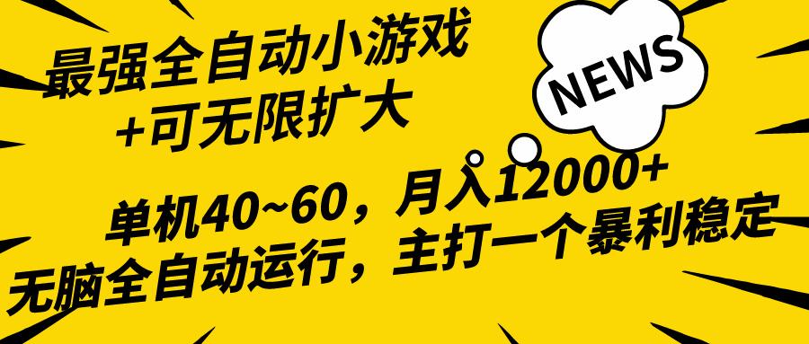 (10046期)2024最新全网独家小游戏全自动，单机40~60,稳定躺赚，小白都能月入过万-E网资源