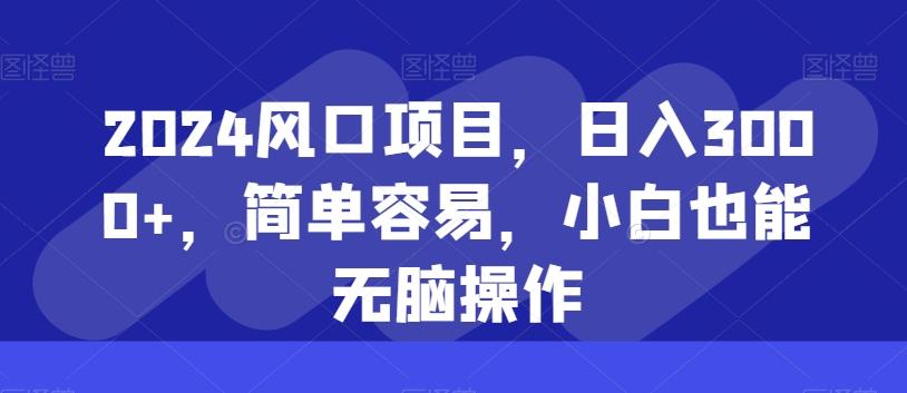 2024风口项目，日入3000+，简单容易，小白也能无脑操作-E网资源