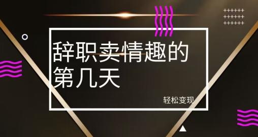 冷门赛道，辞职卖情趣的第几天，超暴力项目-E网资源