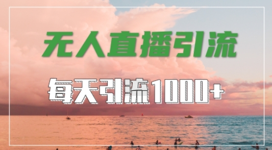 抖音快手视频号全平台通用，无人直播引流法，超暴力引流1000+高质量精准创业粉【揭秘】-E网资源