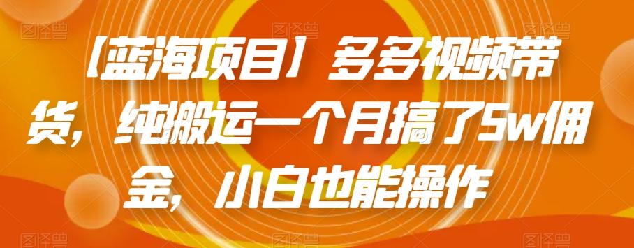 【蓝海项目】多多视频带货，纯搬运一个月搞了5w佣金，小白也能操作【揭秘】-E网资源