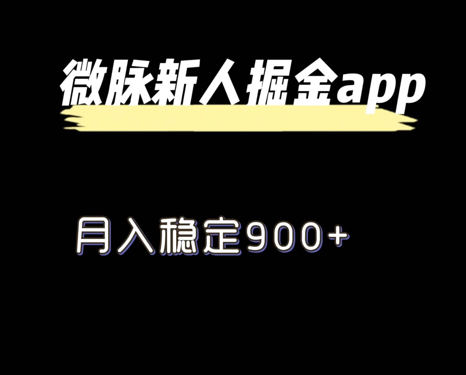 最新微脉长久项目，拉新掘金，月入稳定900+-E网资源
