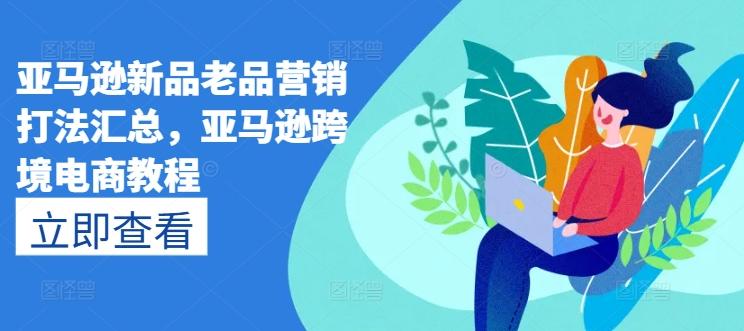 亚马逊新品老品营销打法汇总，亚马逊跨境电商教程-E网资源